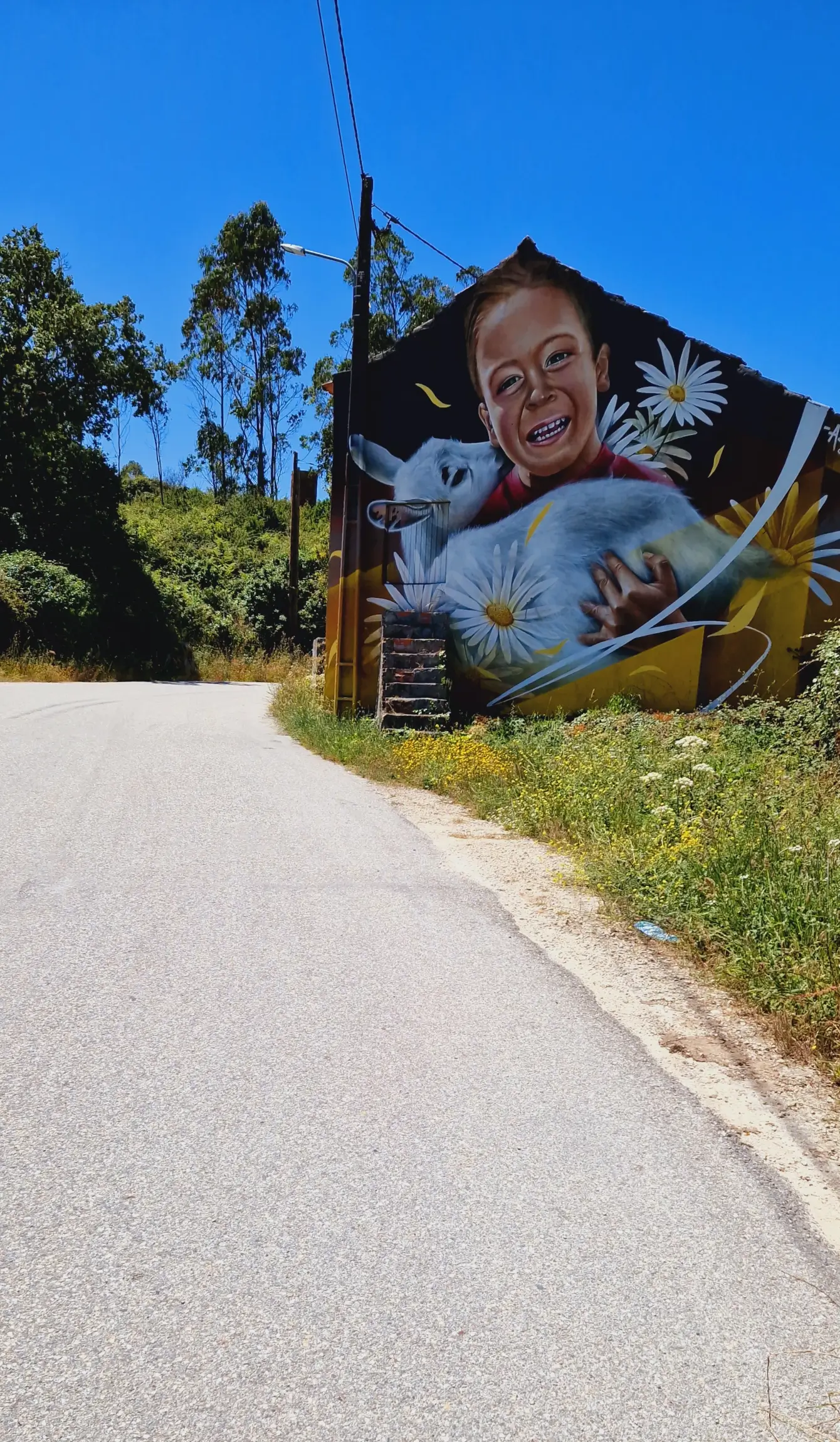 PORTO DE MÓS: DISCOVER FÓRNEA VALLEY E-BIKE TOUR - 5