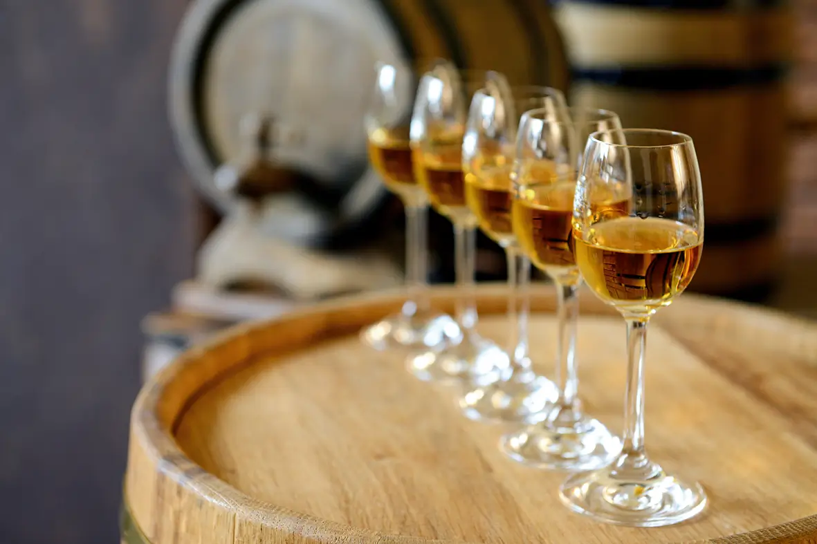 Évora Wine & Heritage Tour - 8
