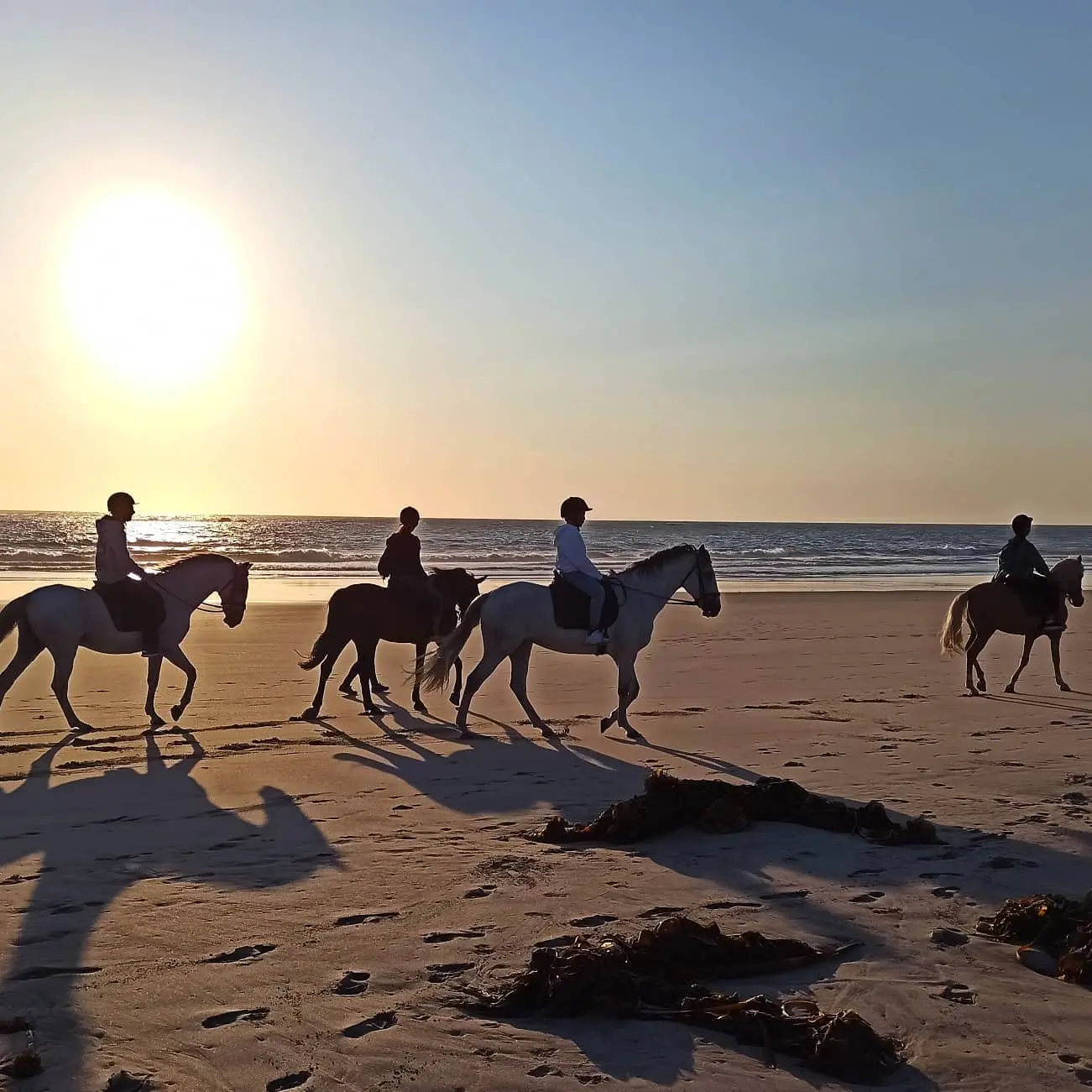 Horseback riding at the beach - 1