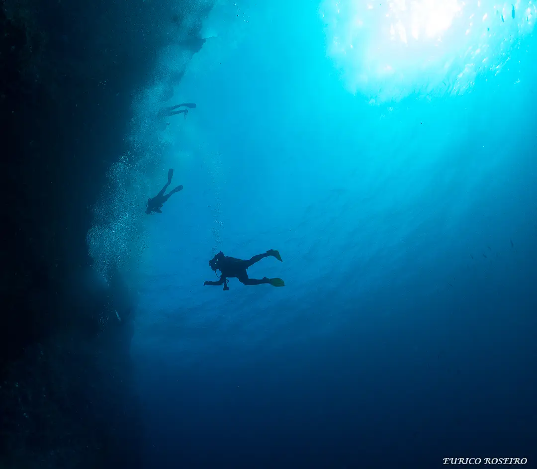 Double Scuba Dive from Peniche - 5