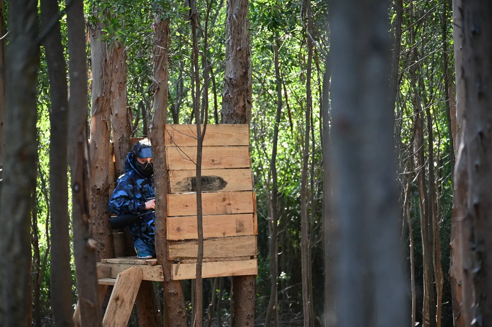 PaintBall - 3