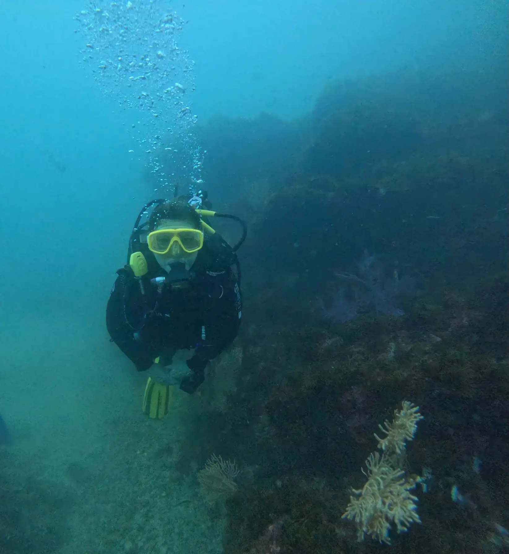 Become a Certified Open Water Diver - Your Underwater Adventure from Porto, Starts Here! - 1