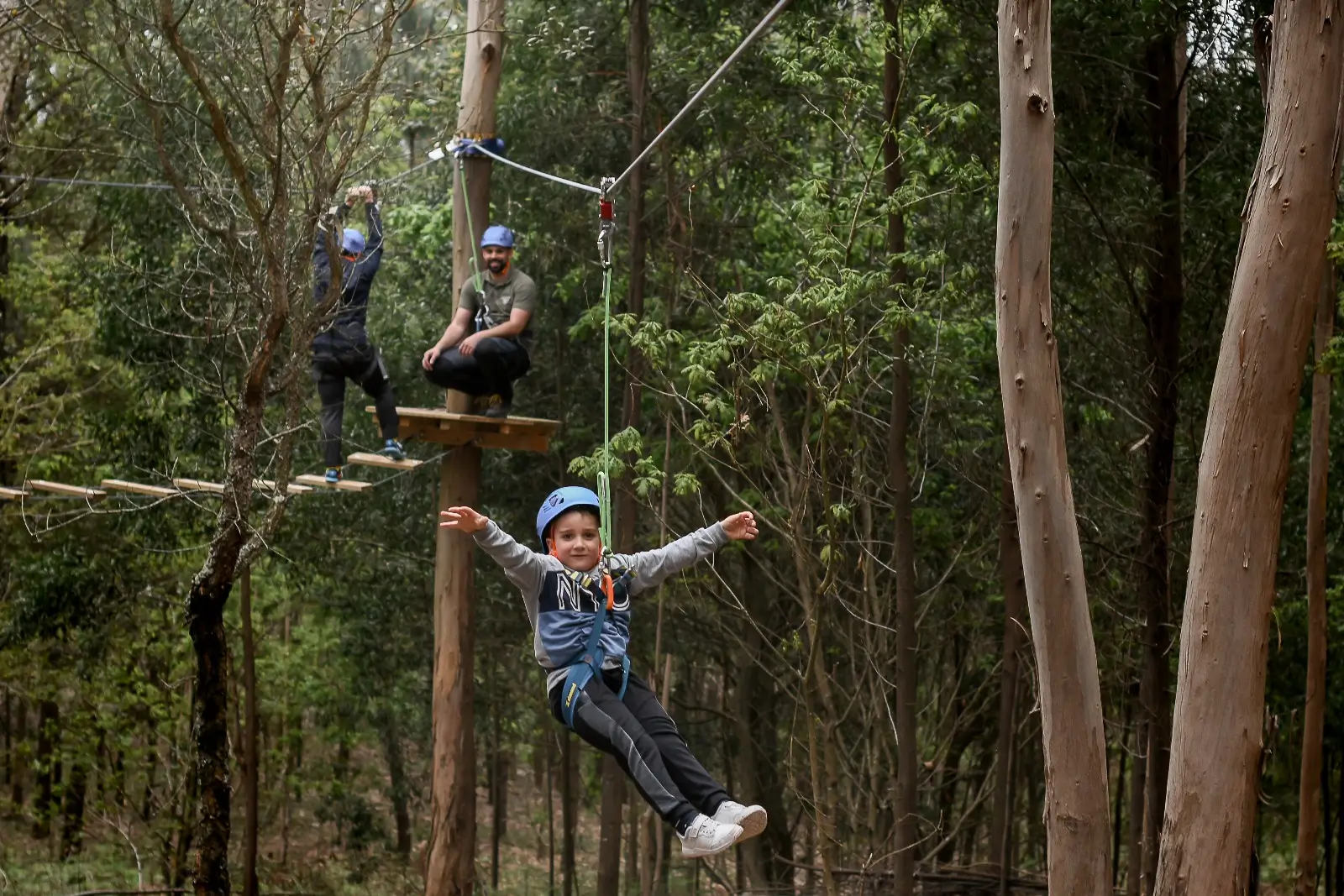 Tree Climbing - 7