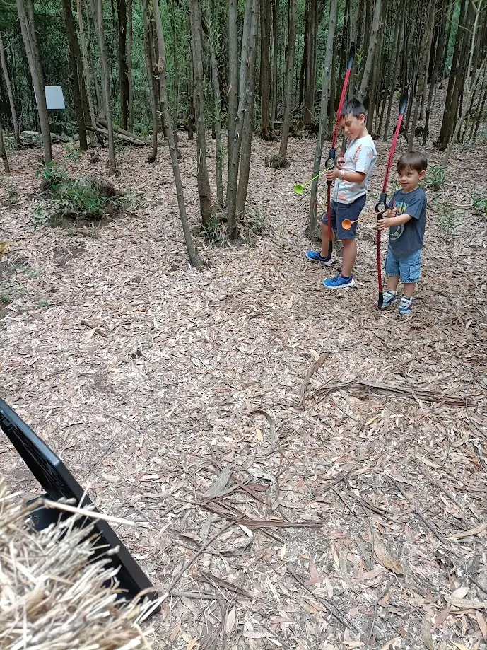 Archery - 4