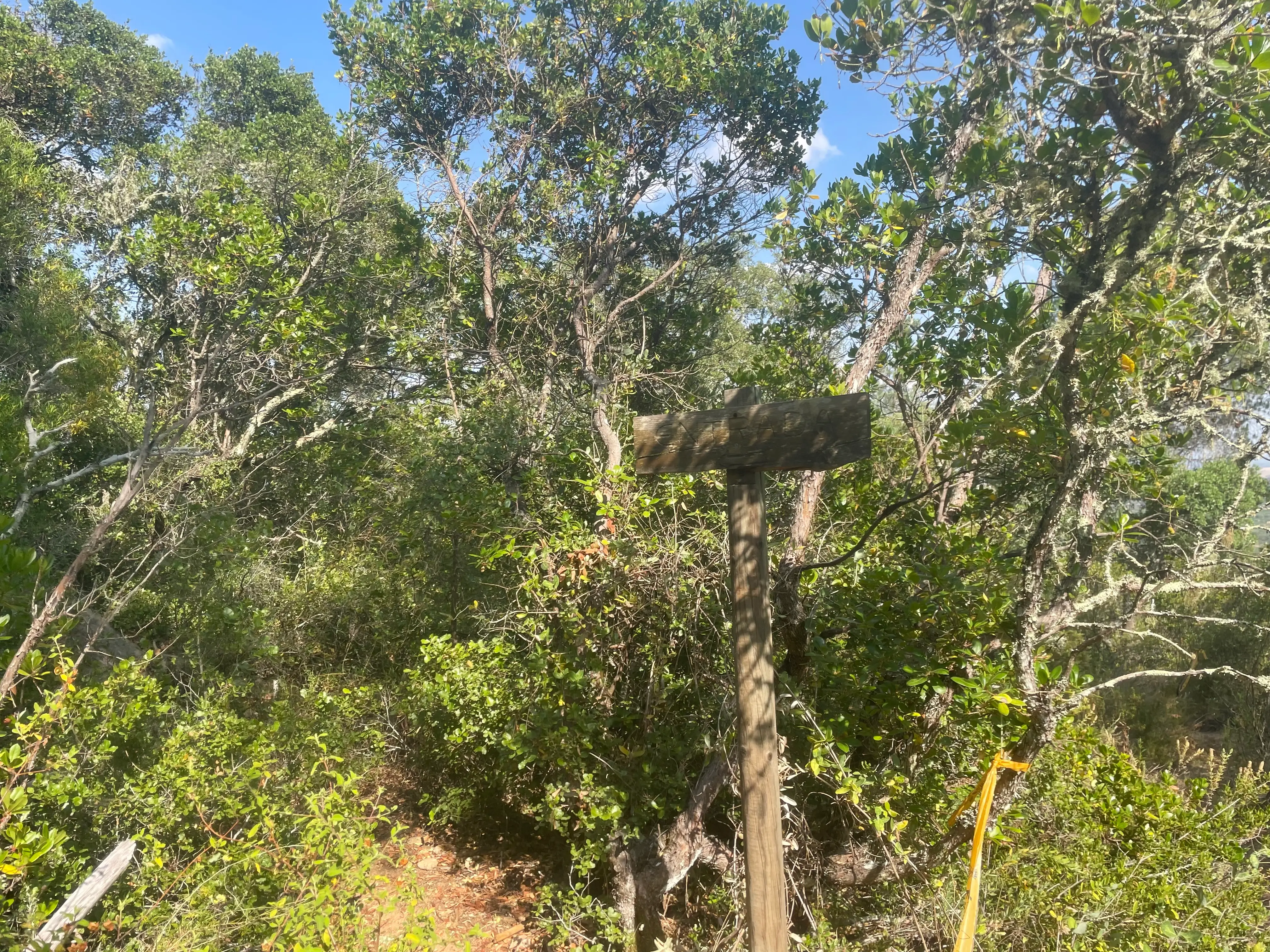 Montemor-o-Novo: Caminhada Guiada ao Megalítico dos Almendres - 5