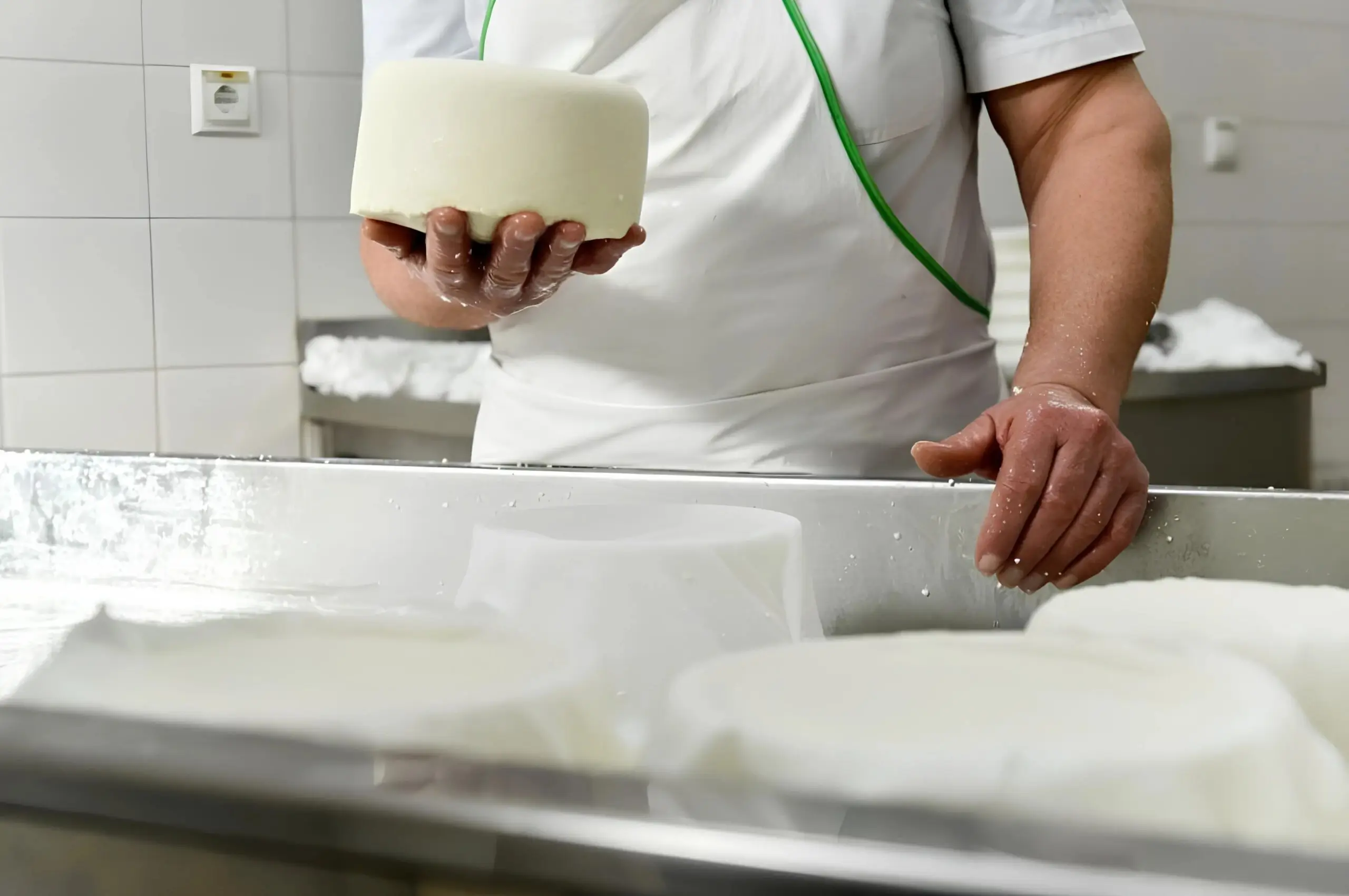 Private Azeitão Cheese Workshop, Wine Tasting & Sesimbra Tour - 1