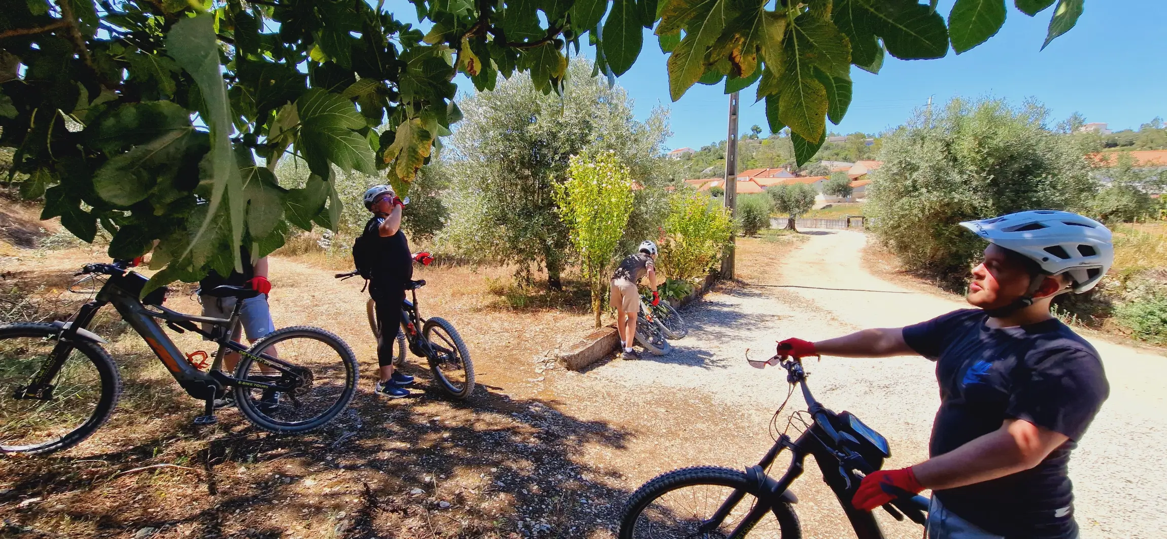 FÁTIMA: SANCTUARY, CASTLE & GASTRONOMY ALL-iN E-BIKE TOUR - 3