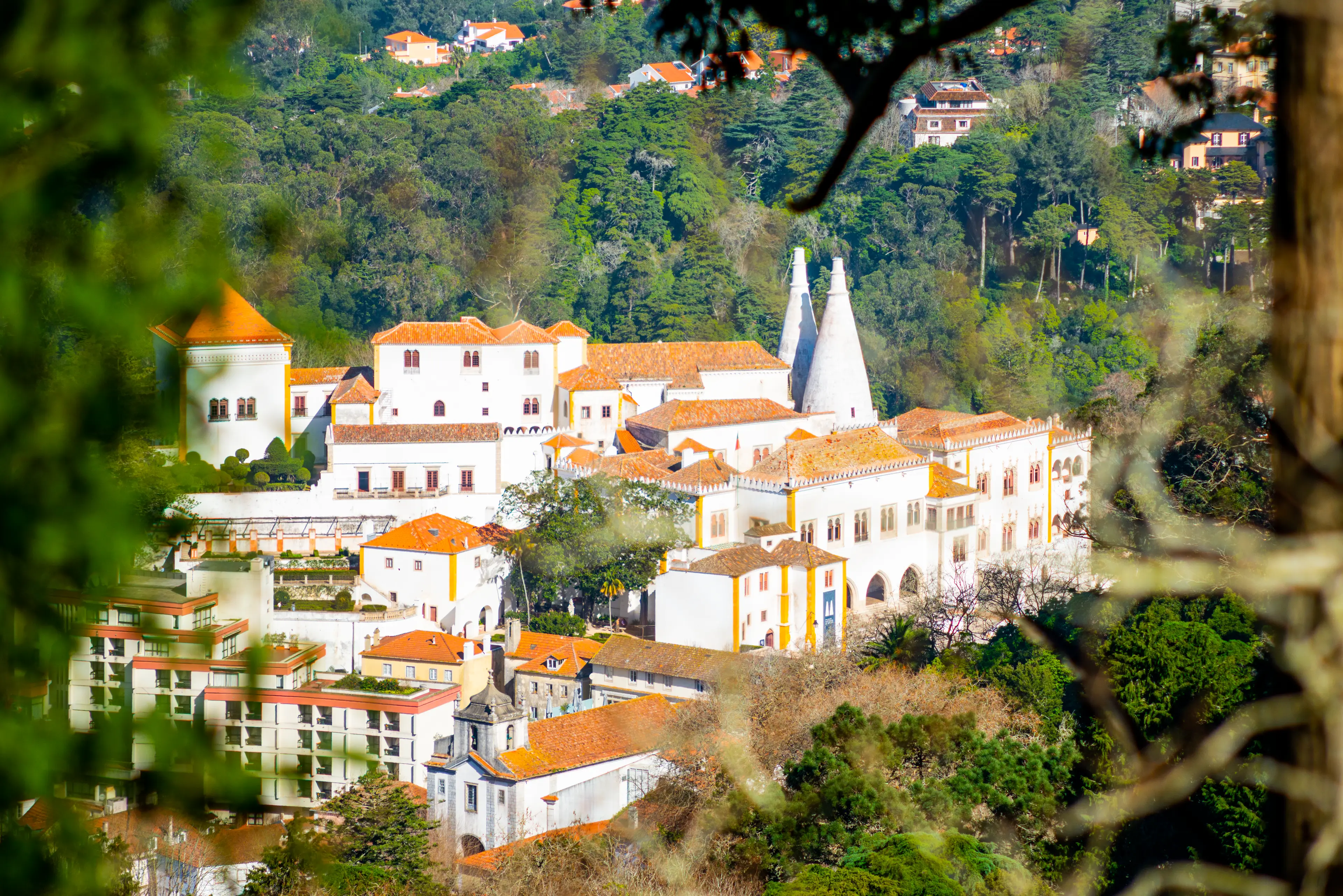 From Lisbon: Sintra Half-Day Private Tour - 3