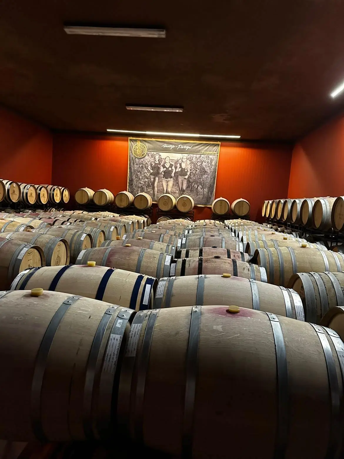 Évora: Day Tour in Montemor-o-Novo, Évora - 8