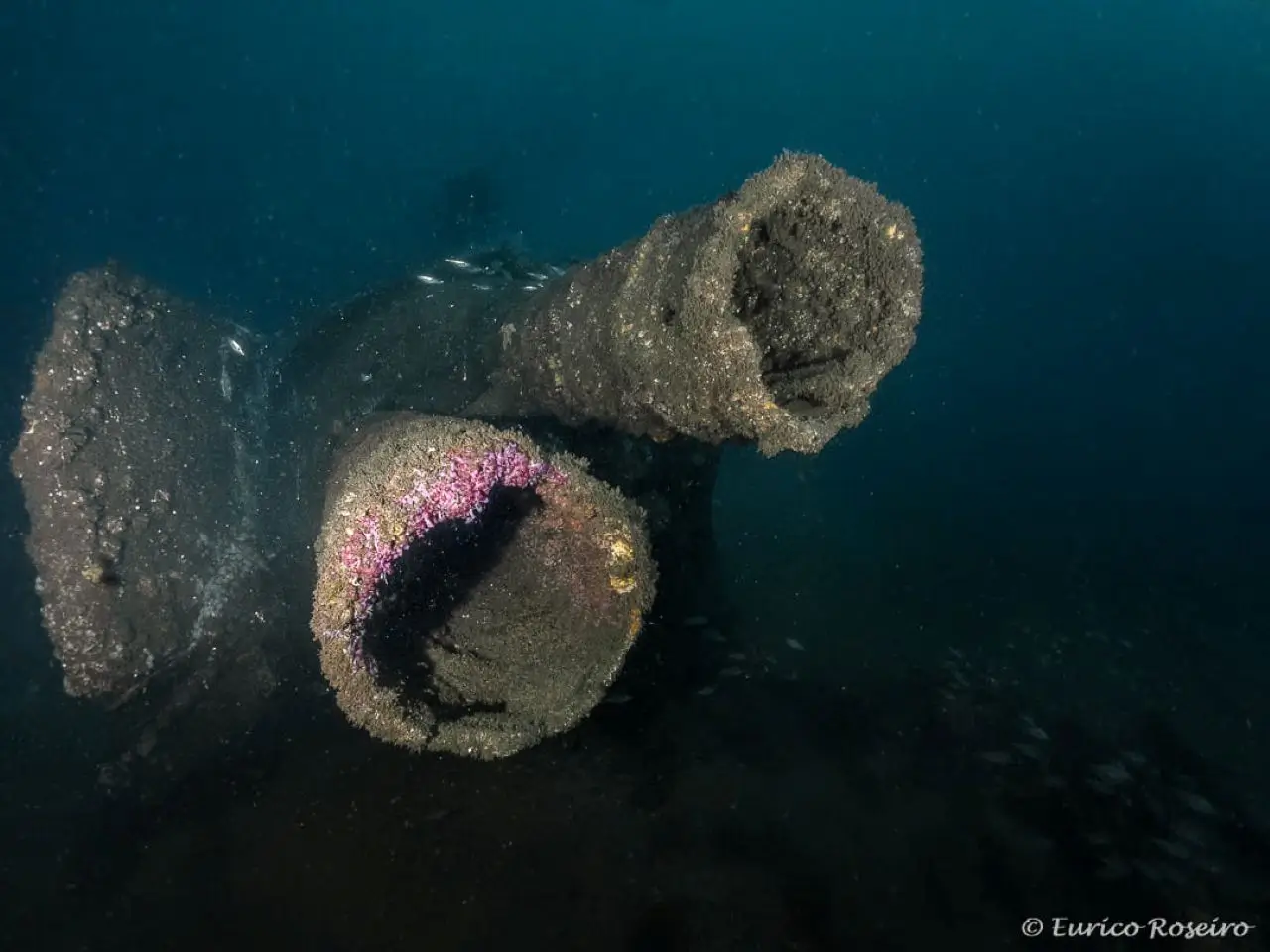 Mergulho no U-boat 1277 - o mergulho mais emblemático de Portugal - 2
