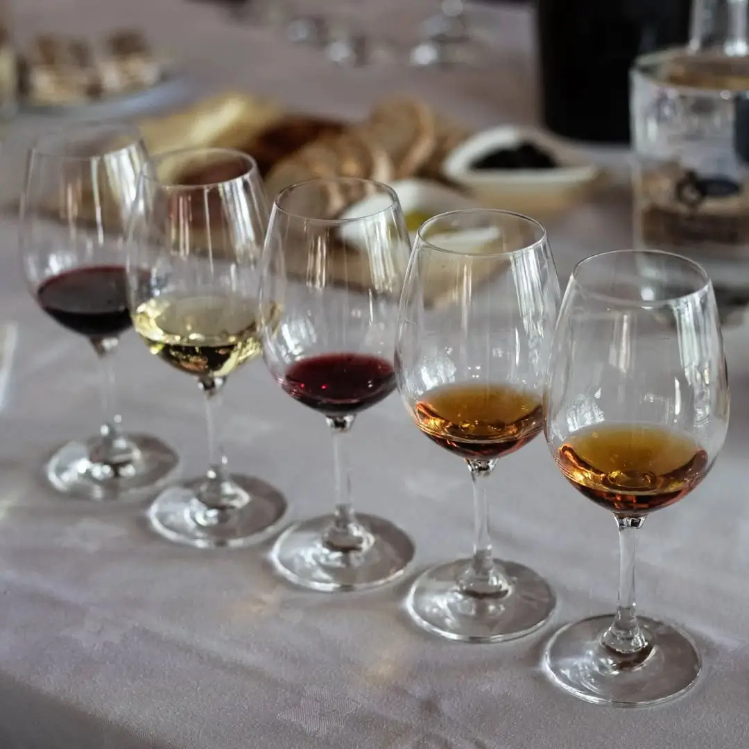 image 4 - Viagem Privada Arrábida e Sesimbra saindo de Lisboa – Prova de Vinhos, Natureza e Praias