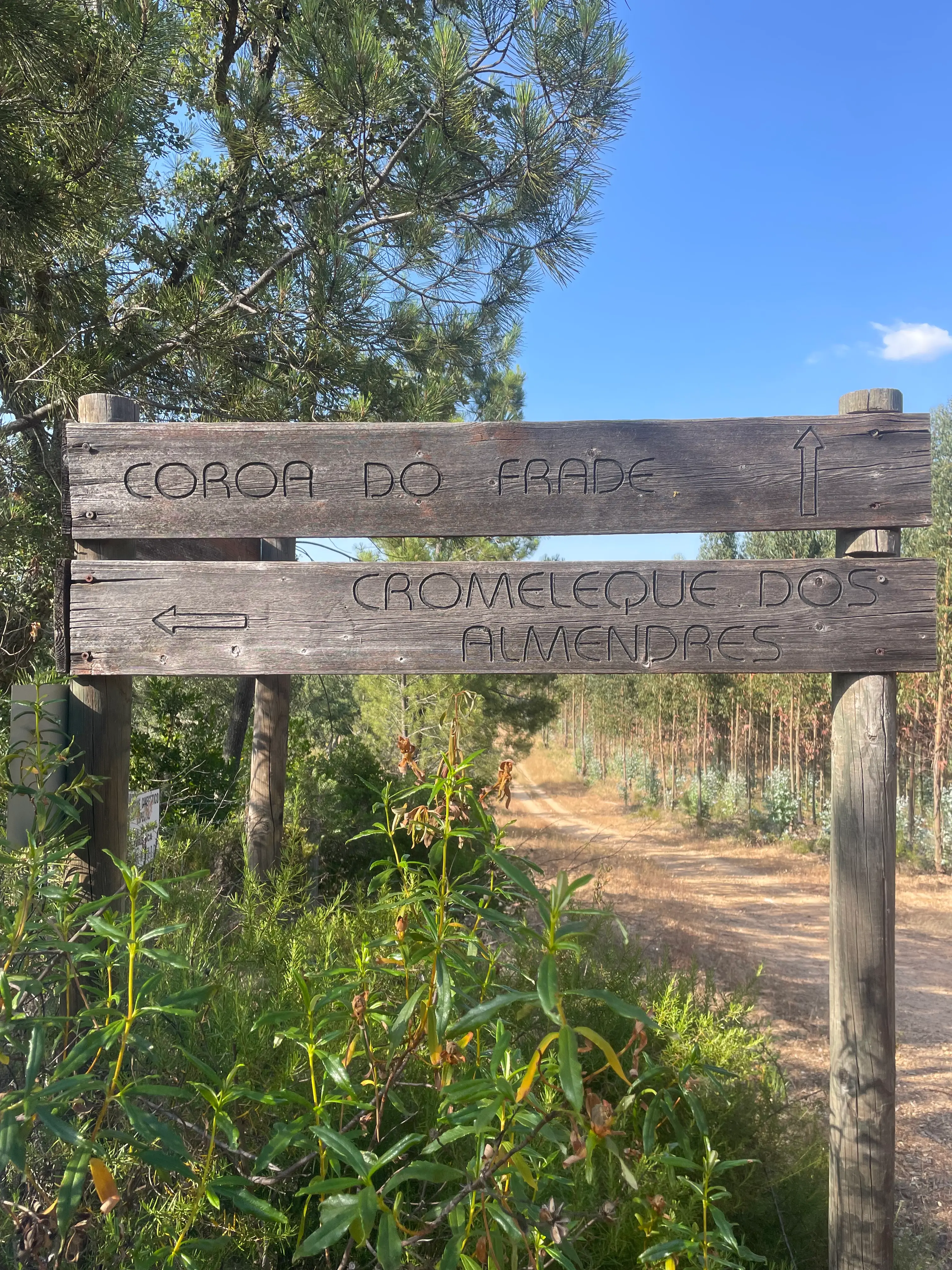 Évora: Guided Hike to Almendres Megalithic - 3