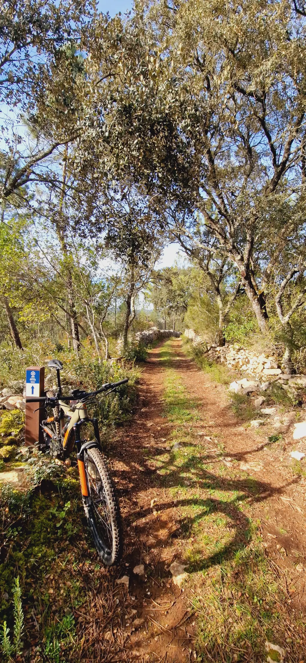 FÁTIMA: JURASSIC FOOTPRINTS E-BIKE TOUR - 3