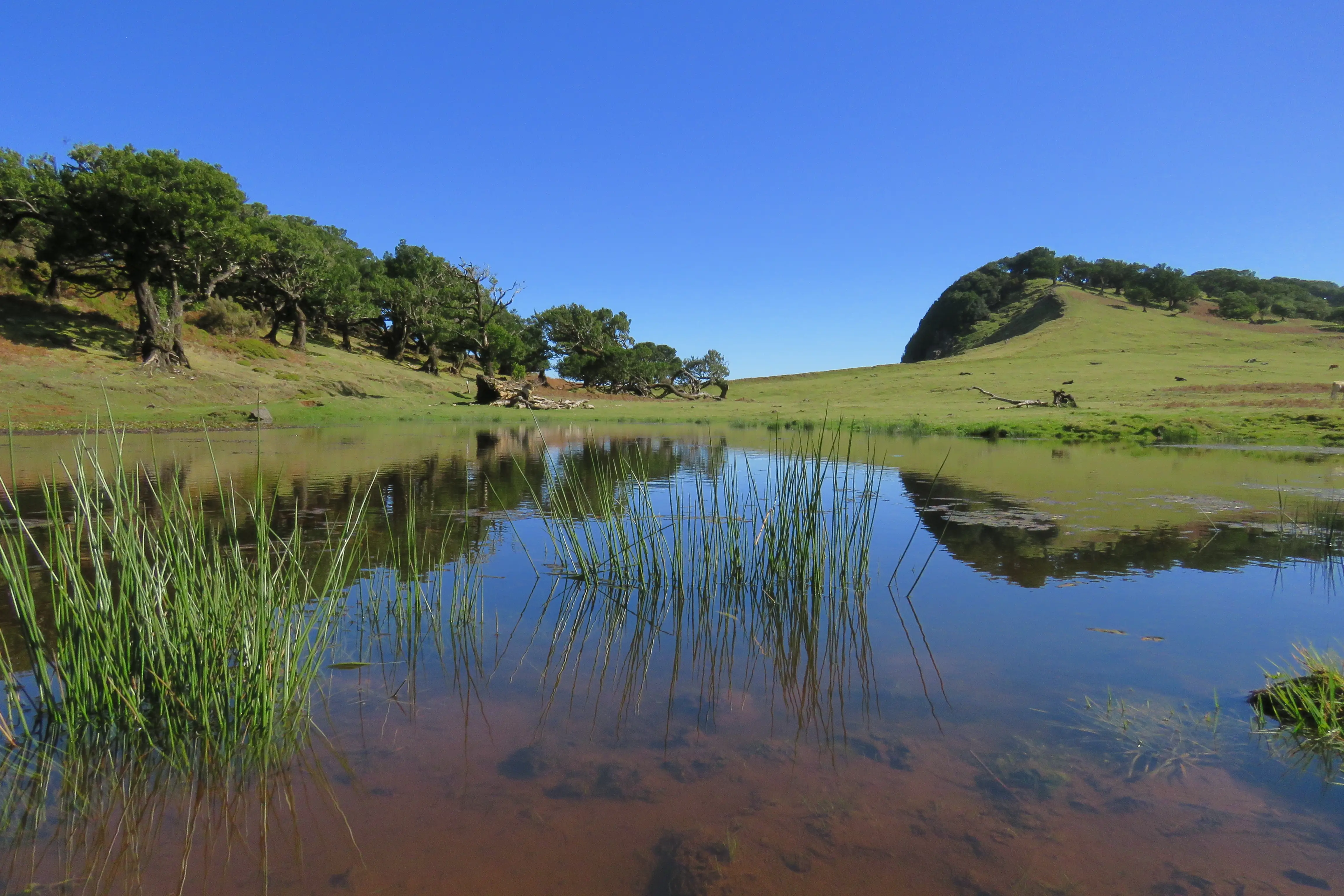 Northwest pools & Fanal - Epic full day open top jeep adventure - 7