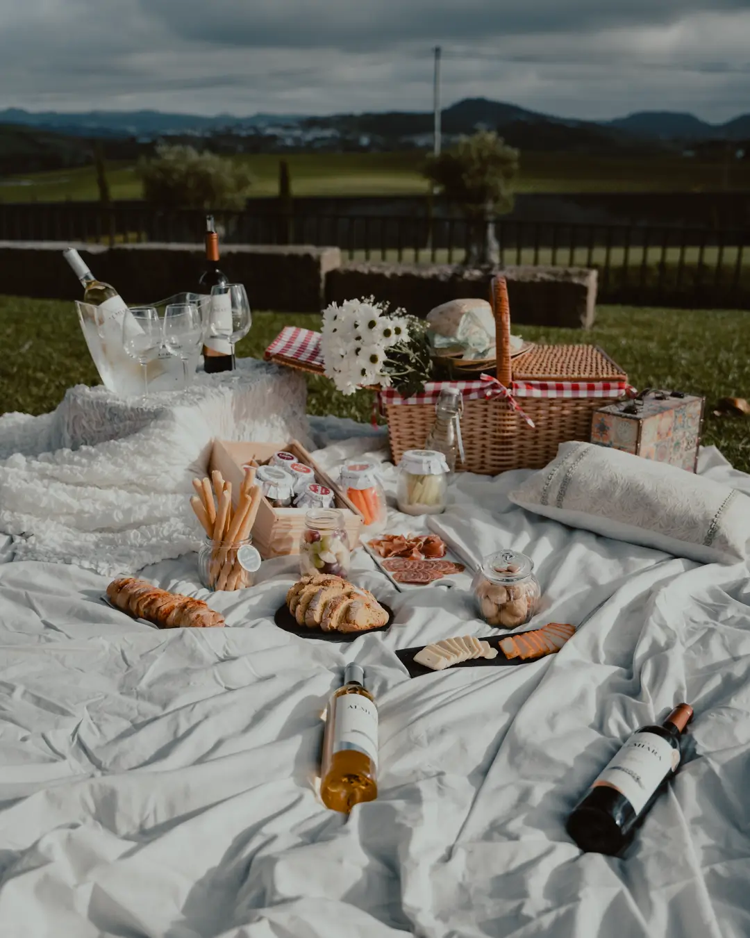 Almiara Picnic - 6