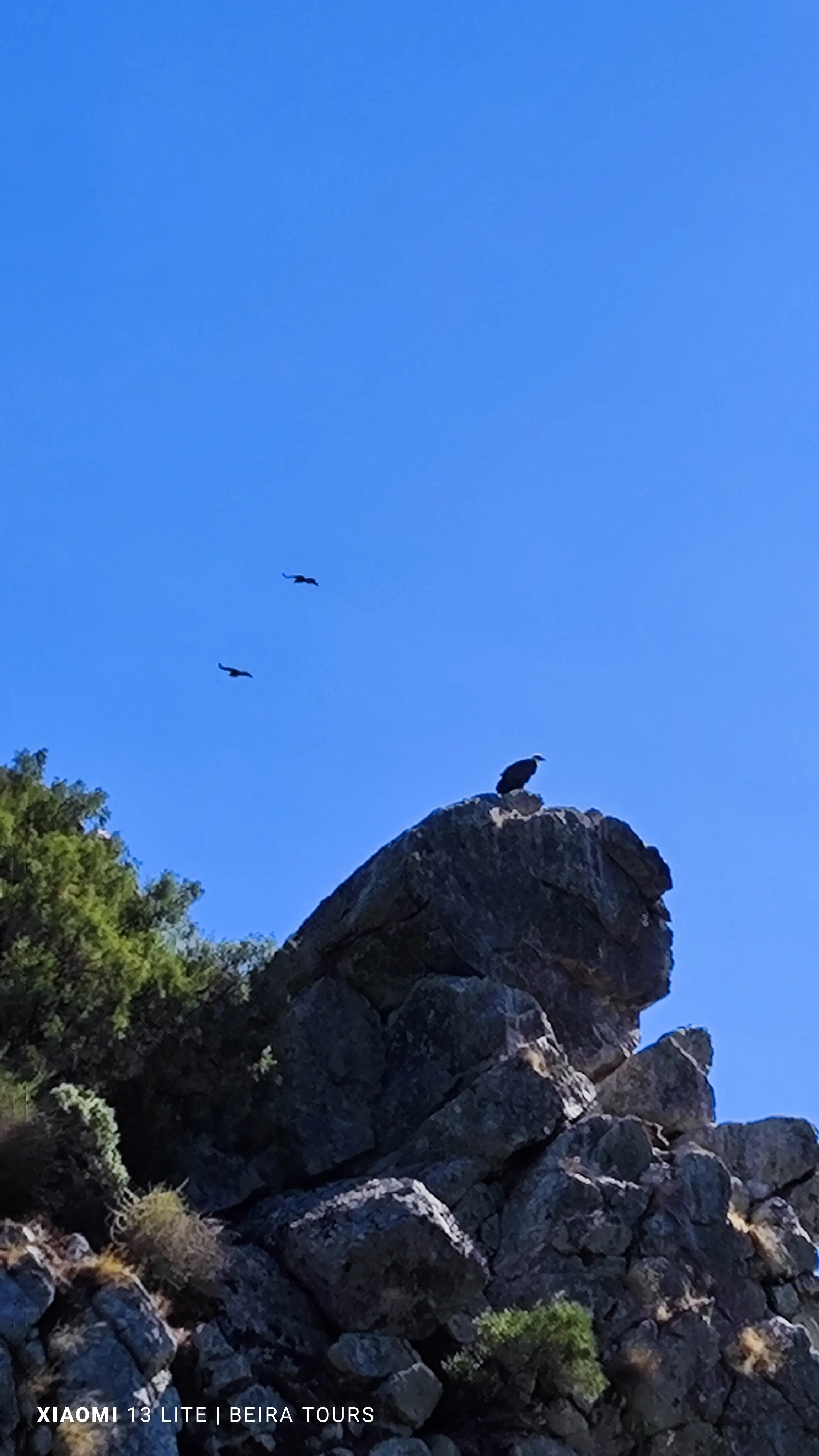 Portas de Ródão: Boat Trip & Exploration of the Region’s Natural Wonders - 6