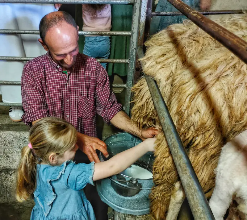 Seja um pastor por um dia: descubra a beleza da vida rural. - Main